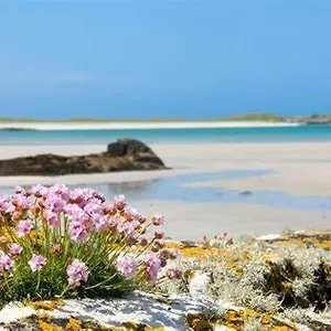 Affittacamere Wild Atlantic Self-catering